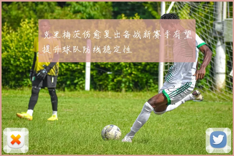 克里梅茨伤愈复出备战新赛季有望提升球队防线稳定性