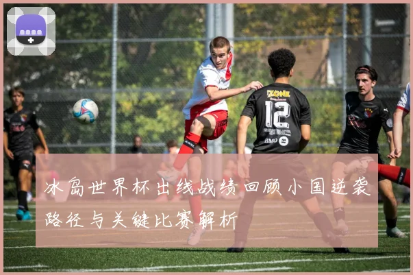 冰岛世界杯出线战绩回顾小国逆袭路径与关键比赛解析