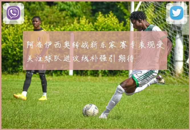 阿洛伊西奥转战新东家 赛季表现受关注球队进攻线补强引期待