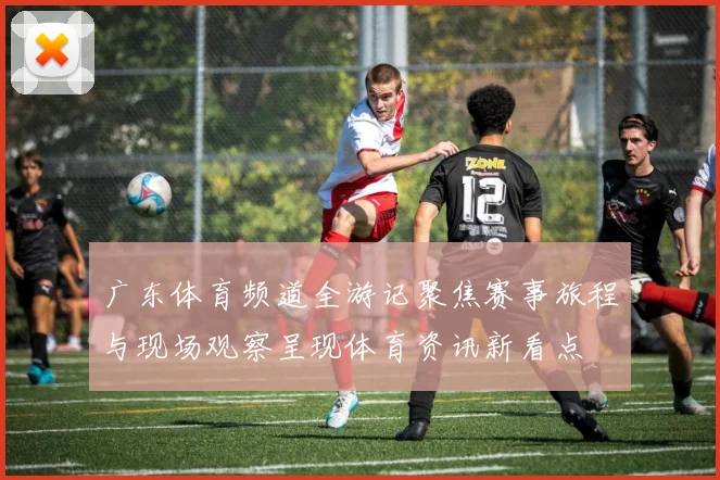 广东体育频道全游记聚焦赛事旅程与现场观察呈现体育资讯新看点